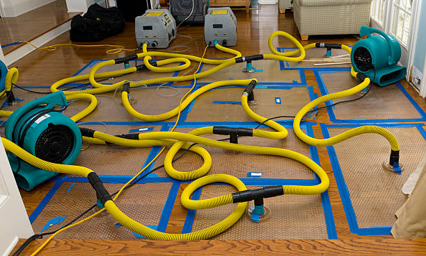 Professional Crawl Space Water Removal technician working in Moline, MI
